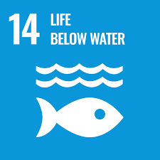 SDG 5